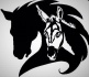One Step Wild Burros and Mustang Rescue