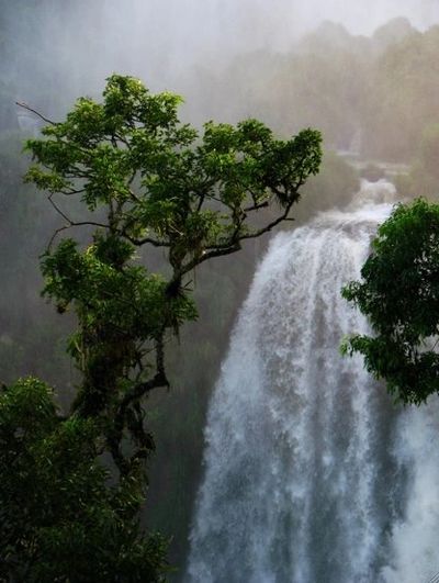 Water Fall in China