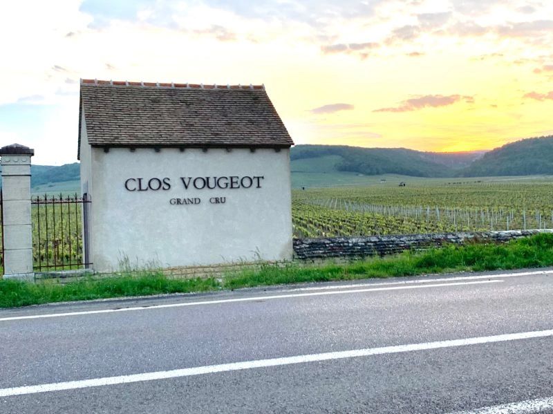 Sign for Clos Vougeot Grand Cru vineyard at sunset.