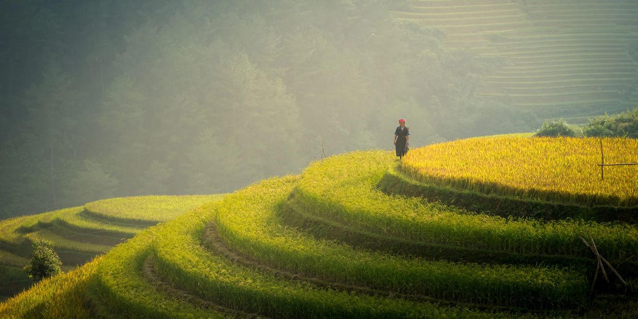 rice terraces in northern vietnam photography tour