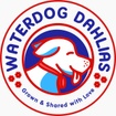 Waterdog Dahlias Website