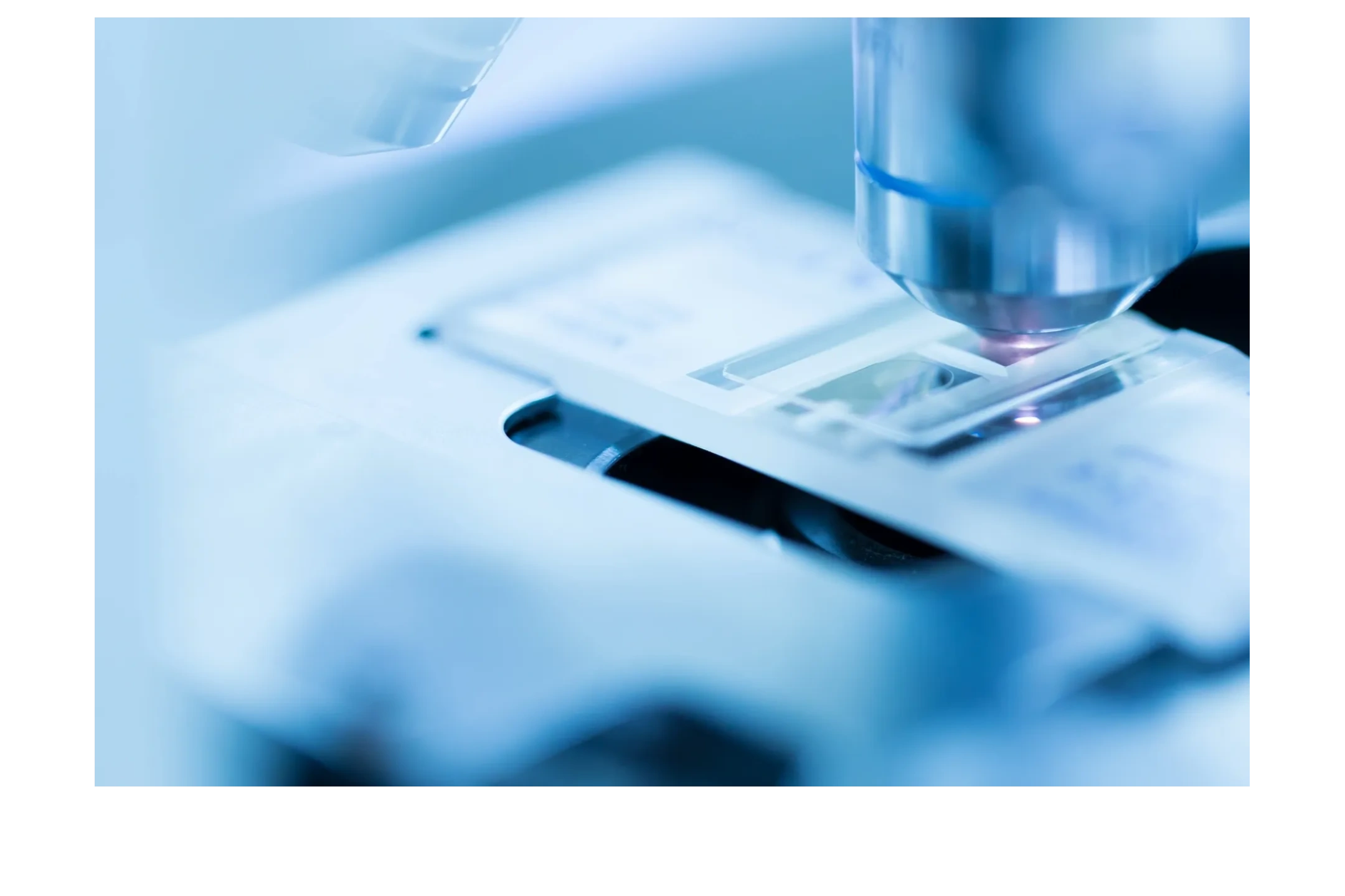 Paramed Lab Paramed and Lab Services Direct LLC - Covid Testing, DNA Testing