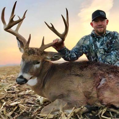Whitetail buck showing antler growth supported by MaxRack deer mineral