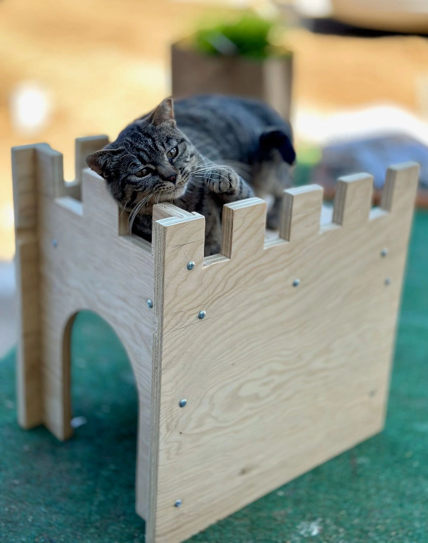 CATTY CASTLE MADE OF WOOD WITH OPENINGS AND A PLATFORM FOR CATS TO PLAY ON.  SHIPS RIGHT TO YOU.