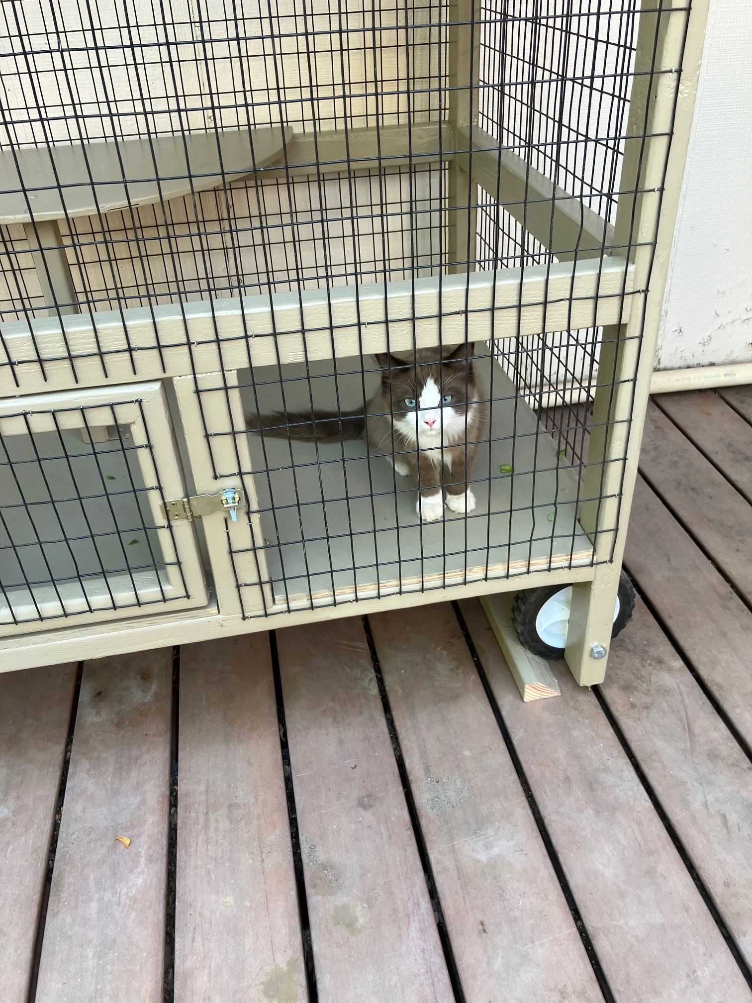 ANOTHER VIEW OF THE LARGE MOBILE CATIO WITH WINDOW ACCESS.  A REALLY SAFE PET ENCLOSURE FOR CHILI.