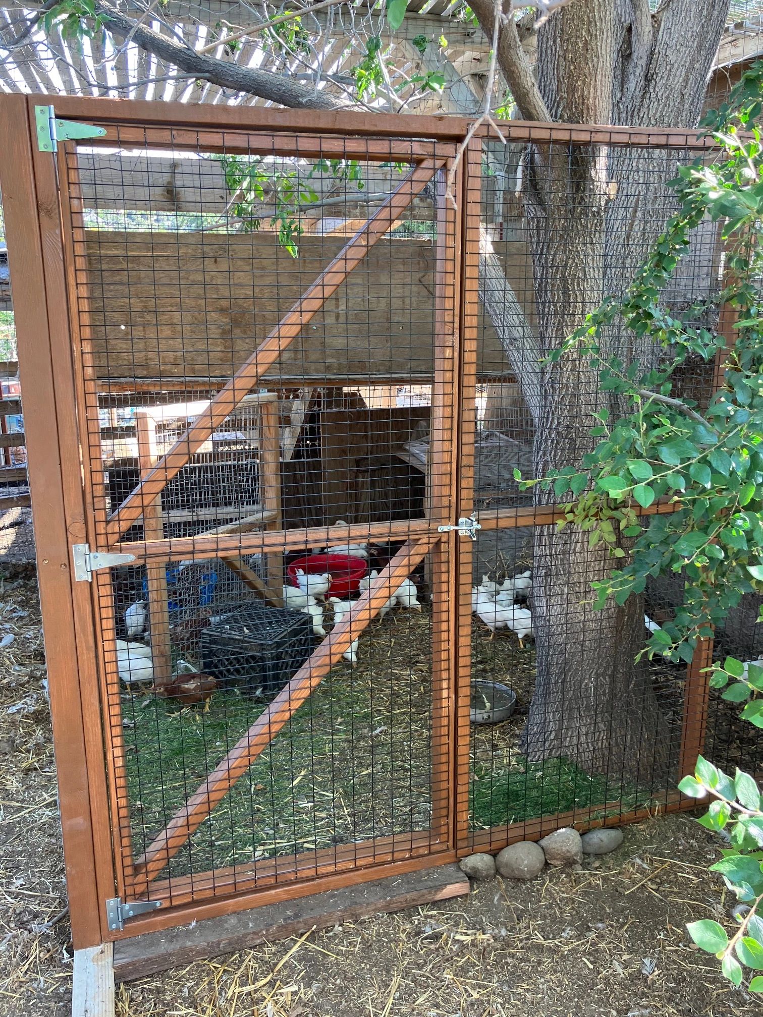 PORTABLE PET ENCLOSURE FOR YOUR CHICKENS.  WELL BUILT AND EASE TO MOVE TO A NEW LOCATION.