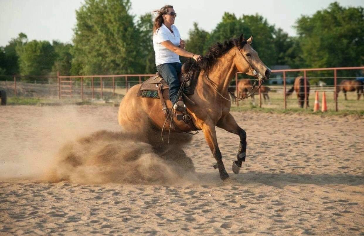 Gentry Performance horses