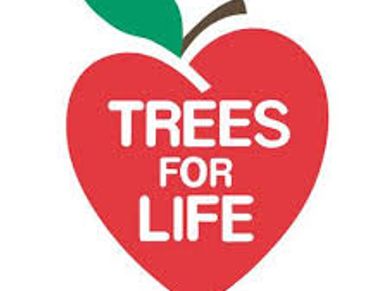 Logo of Trees for Life with an apple shape.