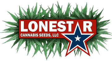 Lone Star Cannabis Seeds