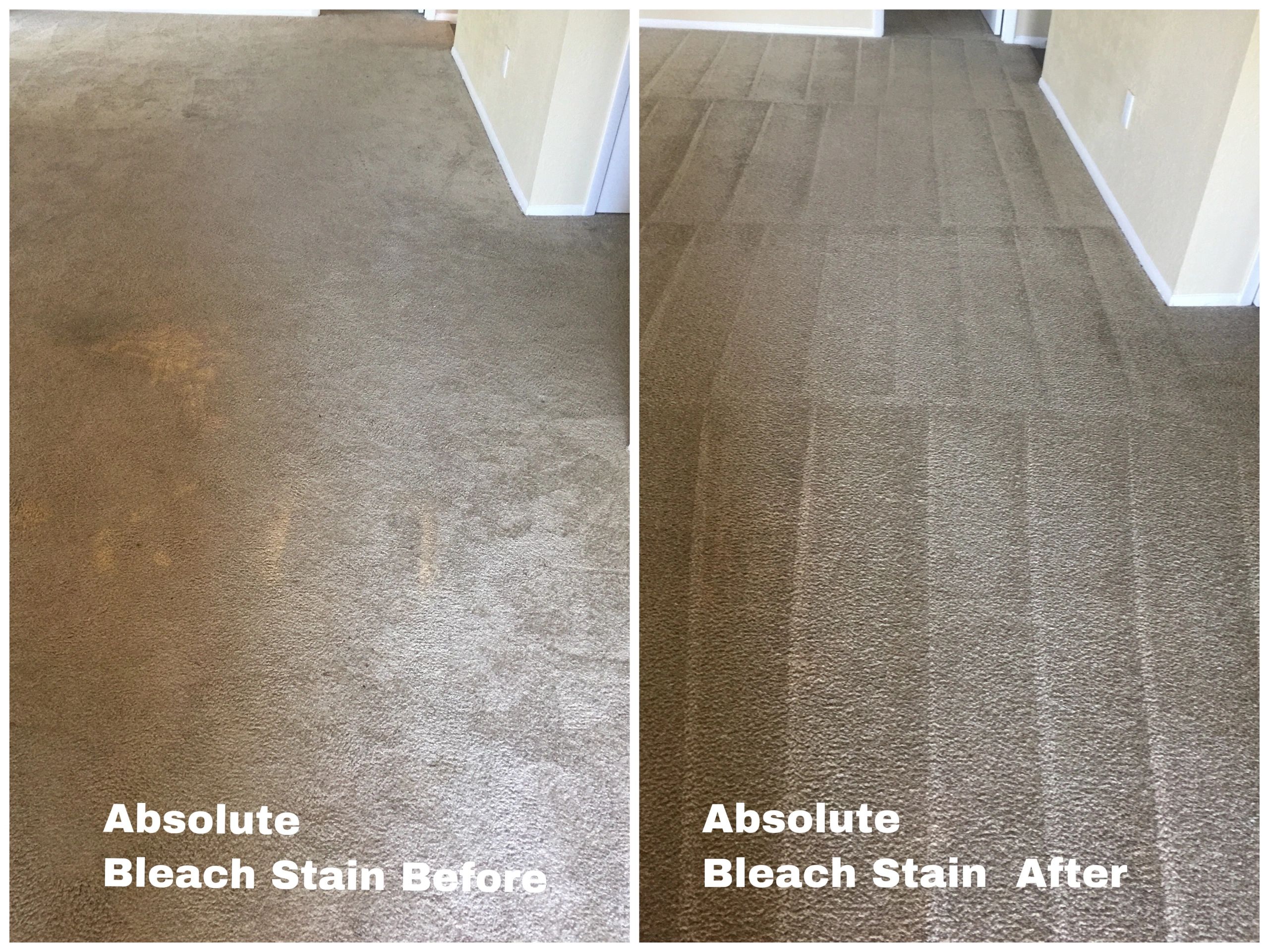 Carpet Cleaning Orlando FL - Absolute Carpet & Tile Care