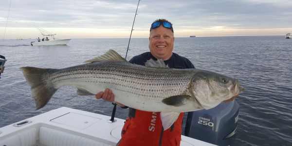 striper fishing 