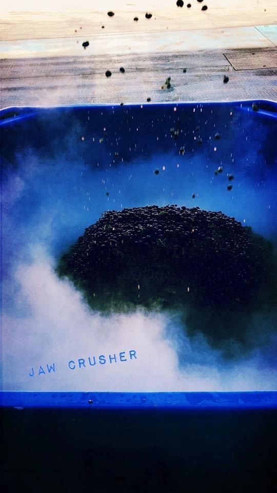 Facility or main image