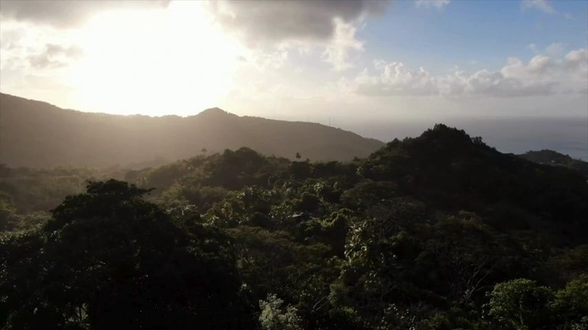 https://img1.wsimg.com/isteam/ip/965d9a80-4469-483b-b9ce-4619a8152282/thumbnails/thumbnail-62016944-3f5e-45bf-8f48-1b85fb8b5775.png
