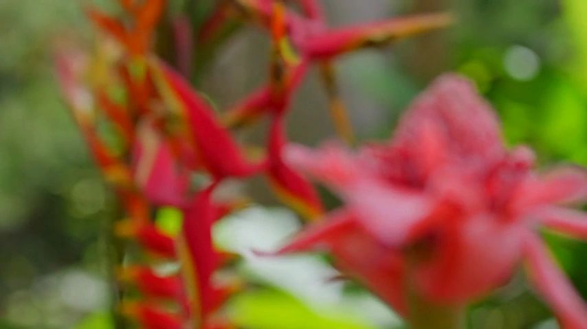 https://img1.wsimg.com/isteam/ip/965d9a80-4469-483b-b9ce-4619a8152282/thumbnails/thumbnail-dd85caff-68ba-4d3f-9936-2bbe94b6ea11.png