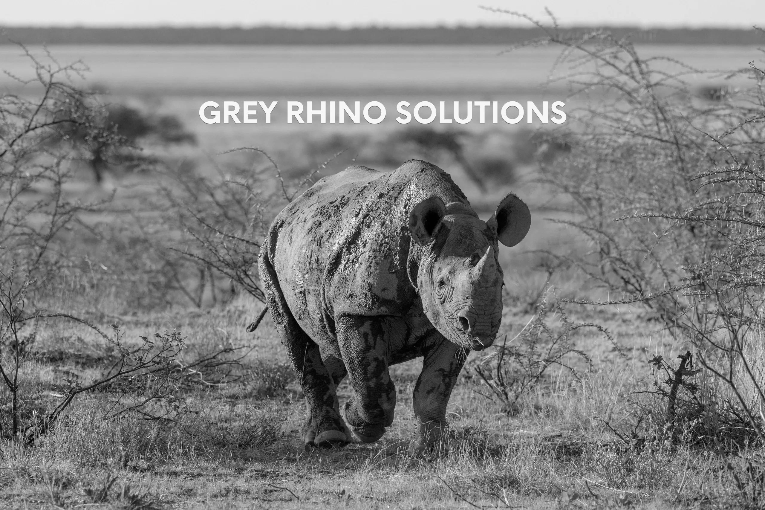 Grey Rhino Solutions