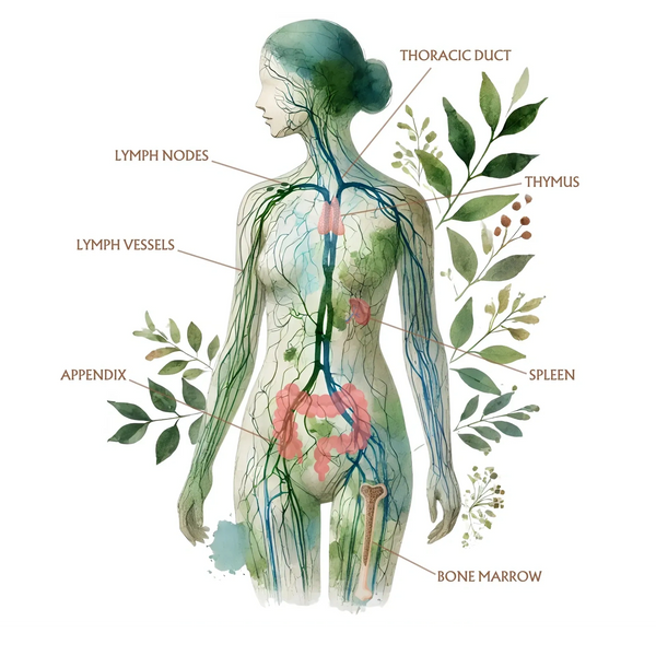 © 2026 AlchemyAmethyst. Used with permission.
www.etsy.com/shop/AlchemyAmethyst