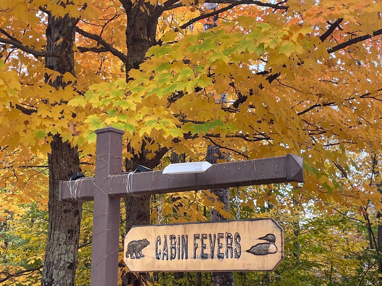 Wooden sign reading 'Cabin Fevers' surrounded by autumn foliage.