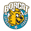 Bobcat Sports League / RVA