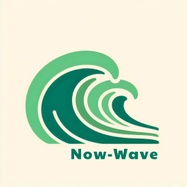 ServiceNow Development services