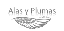 Alas y Plumas de México