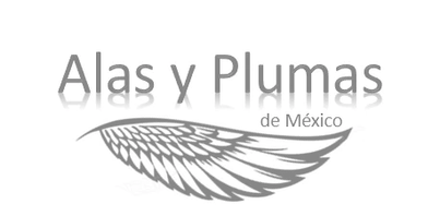 Alas y Plumas de México