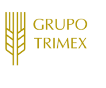 Logotipo dorado de Grupo Trimex con diseño de espiga.