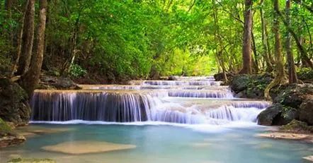 A serene waterfall cascading through a lush green forest.