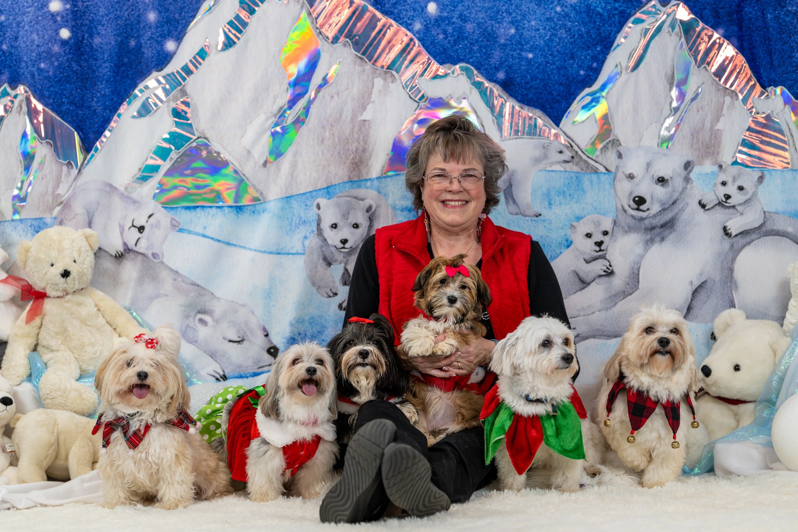 Joni with her Havanese pack Christmas 2025
