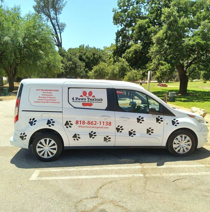 dog taxi cat taxi pet taxi animal transportation veterinarian transport deceased pet transport dog