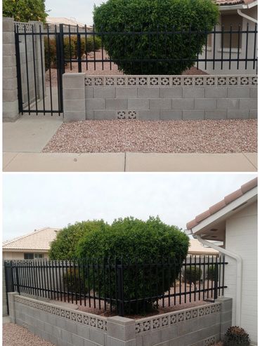 Spear-top steel front yard fence with matching gate, Mesa, Arizona.