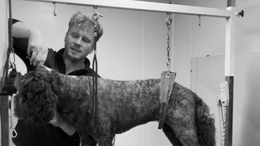 Manchester-dog-groomer