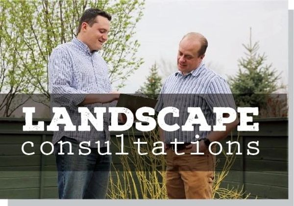 2 men talking consultation