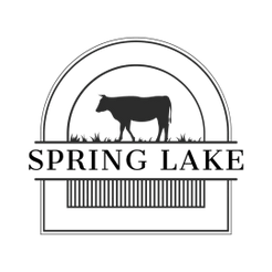 Spring Lake Cattle