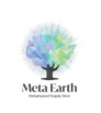 Meta Earth