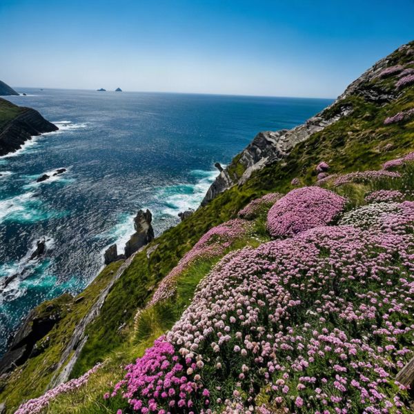 Coastal cliffs adorned with pink flowers overlooking the ocean.