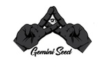Gemini Seed