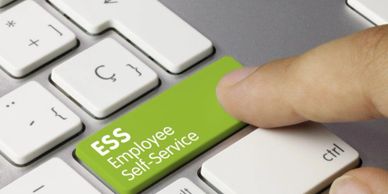D365 Employee Self-Service Software, Time and Attendance for Maritime organizations