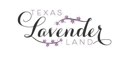 Texas lavender land