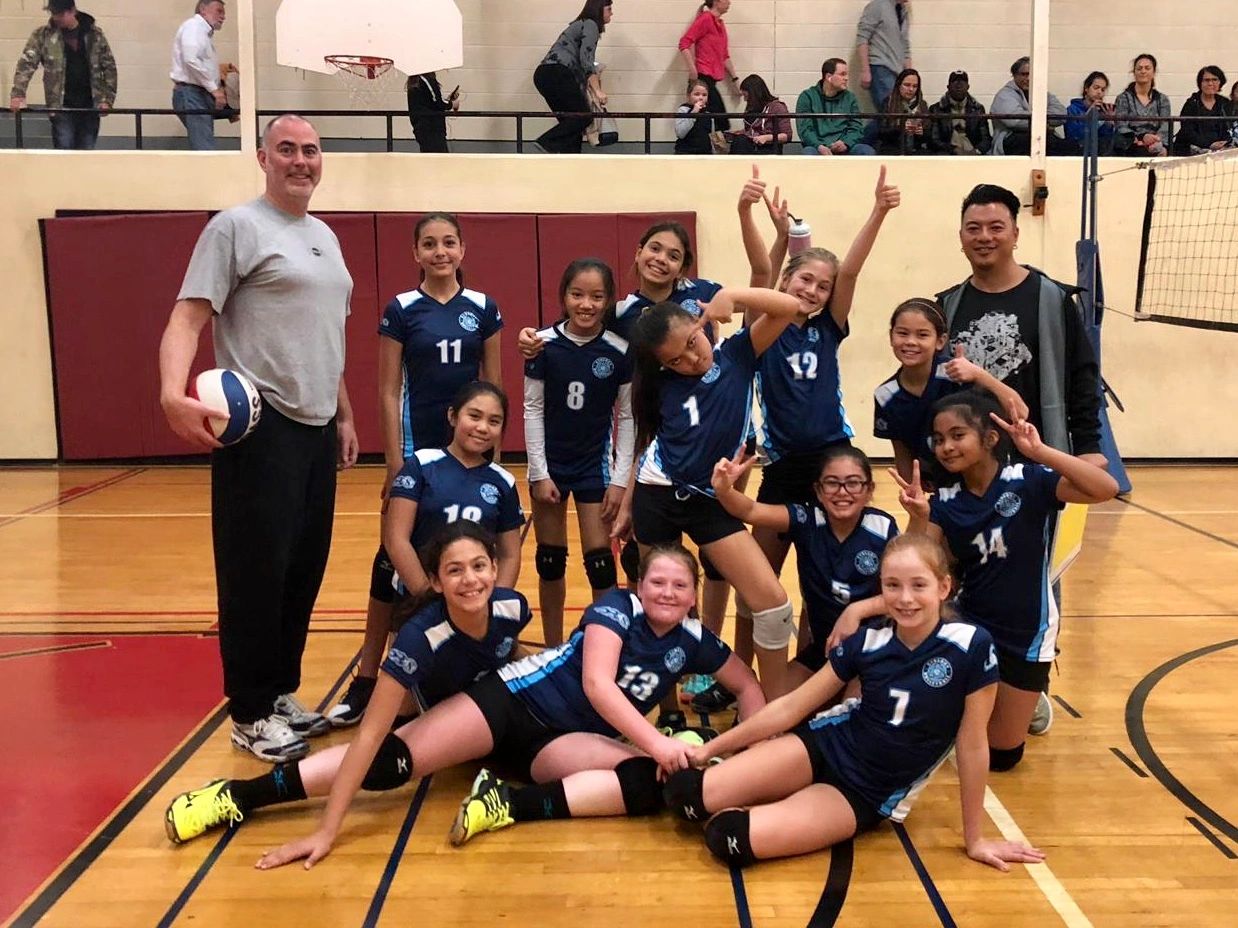 Volleyball - Scarborough Synergy Volleyball Club