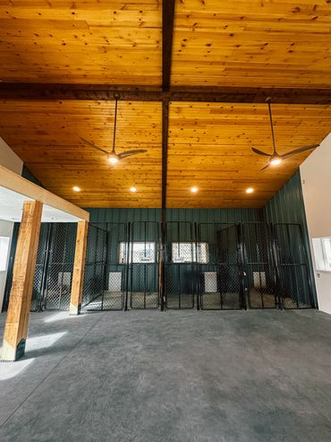 Barn with wood ceiling, exposed beams, and dog kennels with metal fencing for indoor outdoor use.
