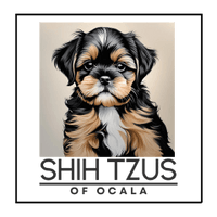 Shih Tzus of  
Ocala  

