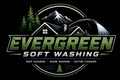Evergreen

Soft Washing