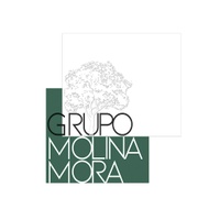 Grupo Molina Mora