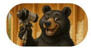 Black Bear Spray Foam LLC