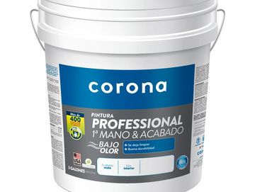 Pintura Professional 1A Mano & Acabado