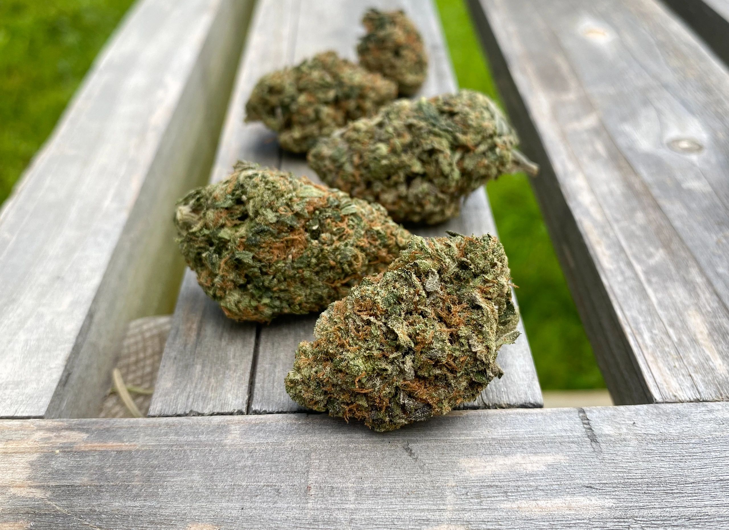 Ultra Pink - West Coast Bud Mail - MCDaddy