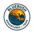 Blue Rush