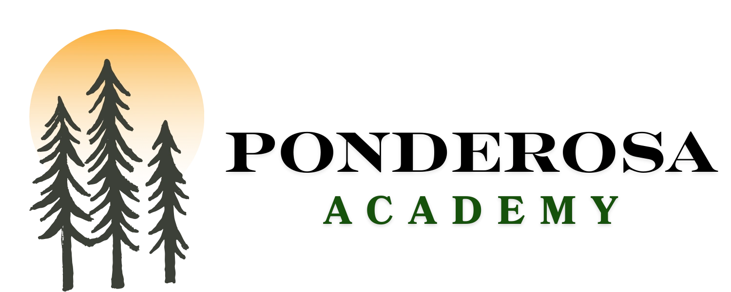 Logo of Forest Academy with pine trees and a sunset background.