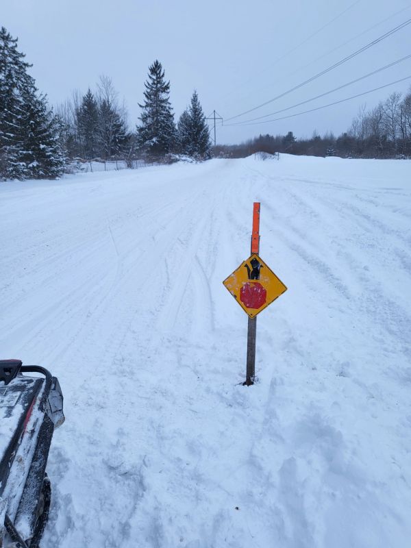 Snow-covered road with a warning sign and snowy trees.