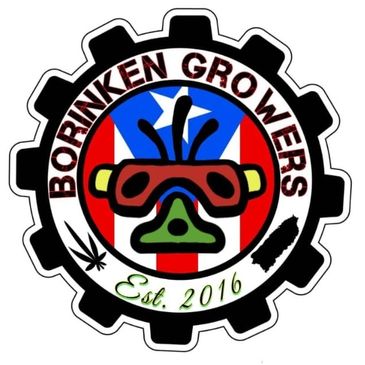 BG420 la base de nuestras Genéticas